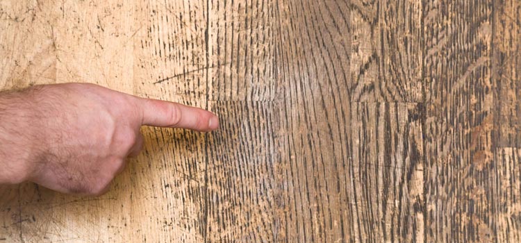 Wood Door Scratch Repair in Beverly Hills